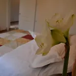 Corte Di Venezia Bed & Breakfast Mestre