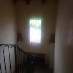 Bed & Breakfast Corte Di Venezia 4*