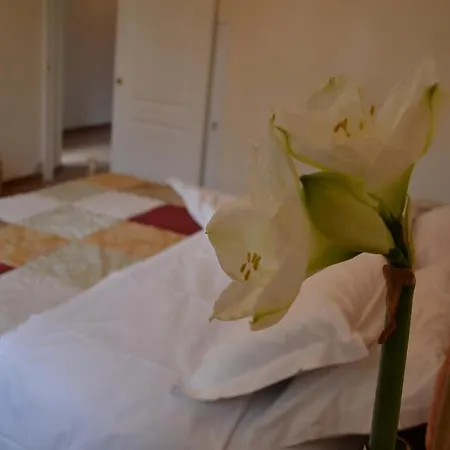 Corte Di Venezia Bed & Breakfast Mestre